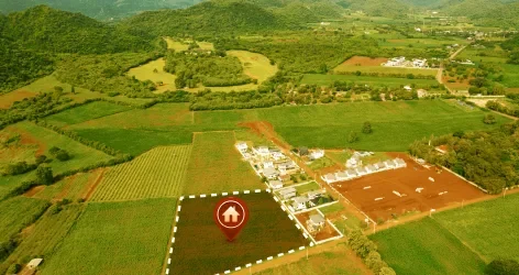 real estate landscape